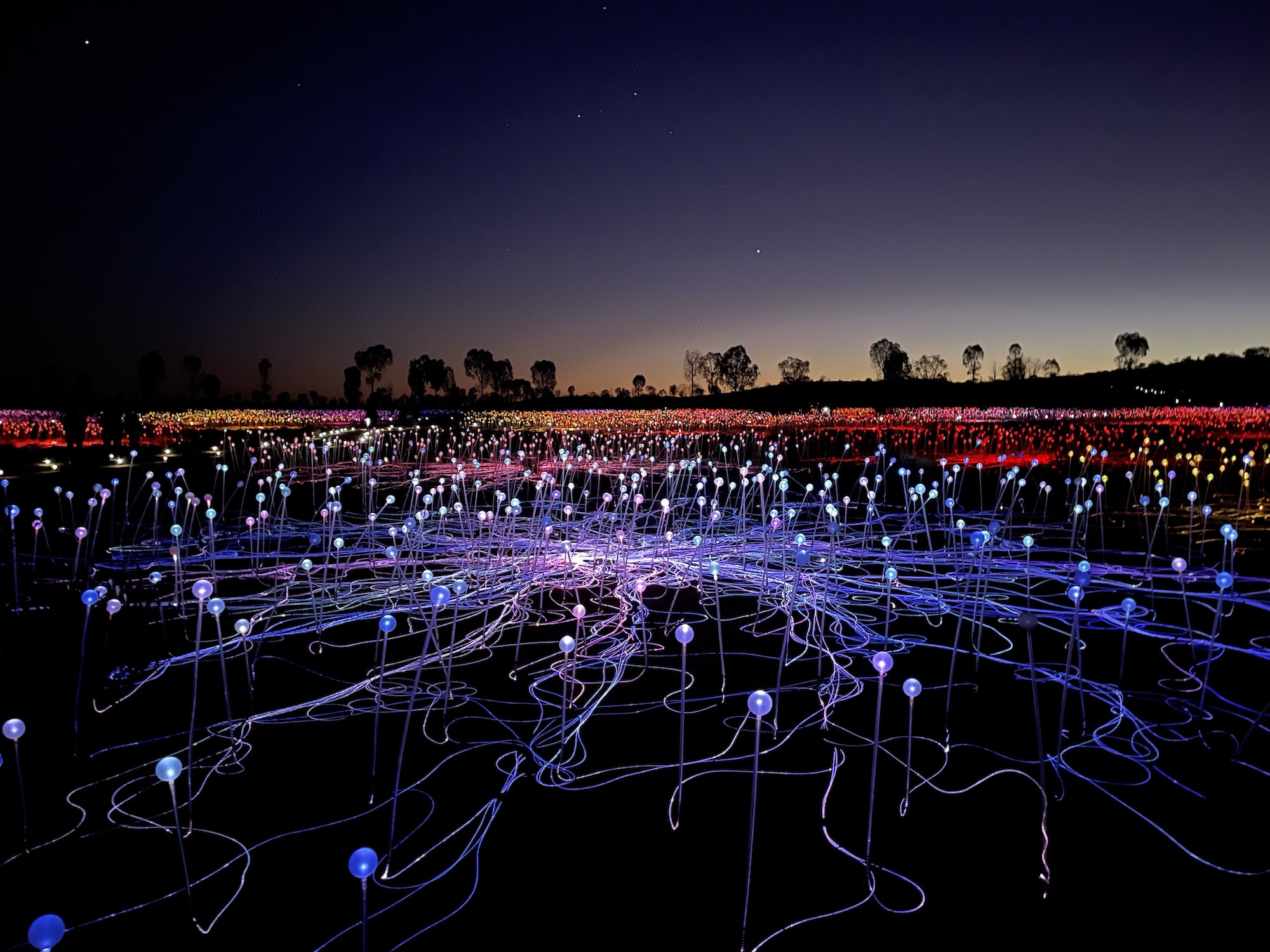 Field of lights art installation at Uluru Australia