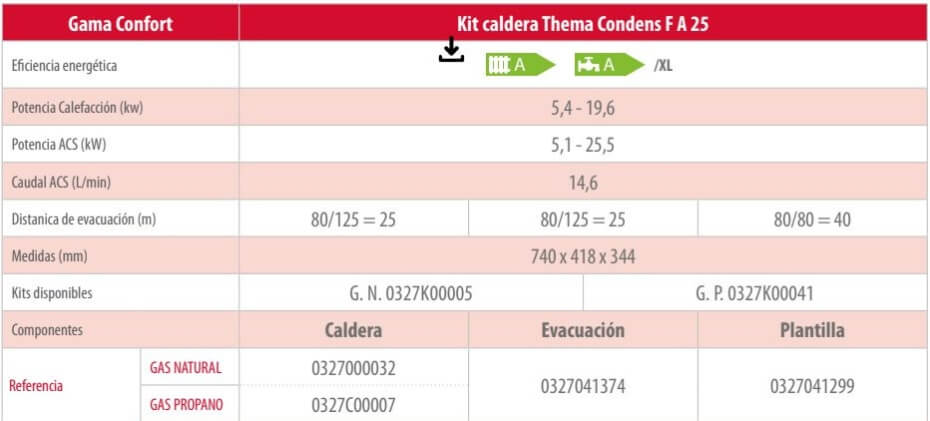 Kit caldera Thema Condens F A 25